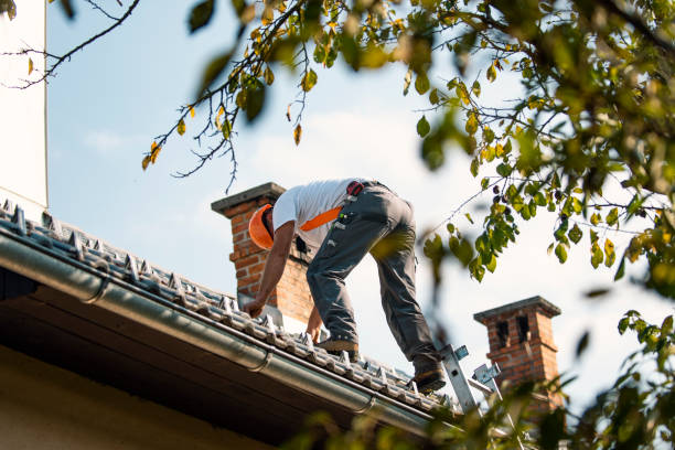 Asphalt Shingles Roofing in Lake Fenton, MI